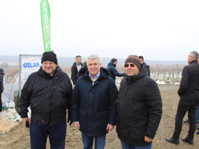 Blagdan sv. Vinka pokušalište u Mandićevcu FAZOS