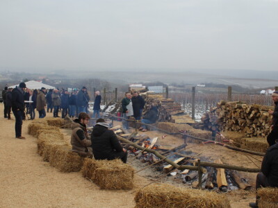 Blagdan sv. Vinka pokušalište u Mandićevcu FAZOS