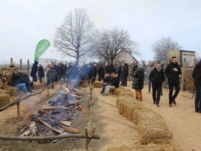Blagdan sv. Vinka pokušalište u Mandićevcu FAZOS