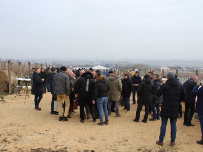 Blagdan sv. Vinka pokušalište u Mandićevcu FAZOS