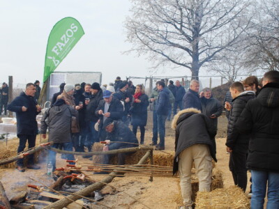 Blagdan sv. Vinka pokušalište u Mandićevcu FAZOS