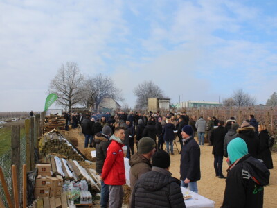 Blagdan sv. Vinka pokušalište u Mandićevcu FAZOS