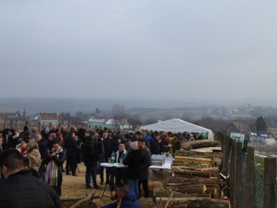 Blagdan sv. Vinka pokušalište u Mandićevcu FAZOS