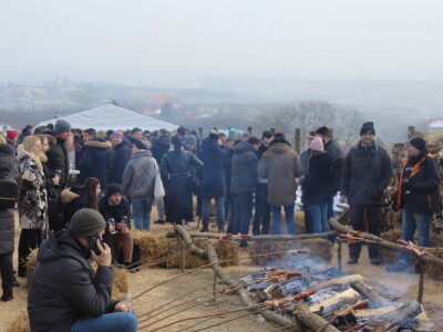 Blagdan sv. Vinka pokušalište u Mandićevcu FAZOS