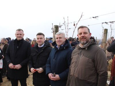 Blagdan sv. Vinka pokušalište u Mandićevcu FAZOS