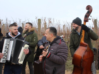 Blagdan sv. Vinka pokušalište u Mandićevcu FAZOS