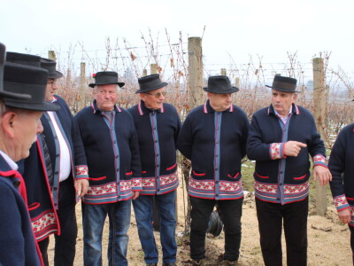 Blagdan sv. Vinka pokušalište u Mandićevcu FAZOS