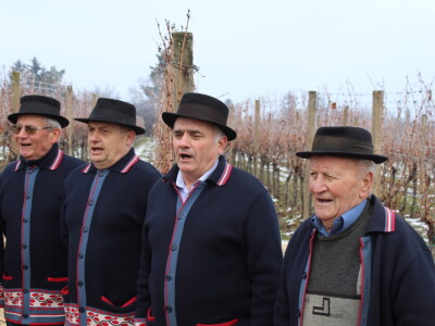 Blagdan sv. Vinka pokušalište u Mandićevcu FAZOS