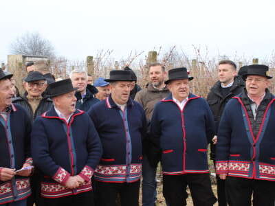 Blagdan sv. Vinka pokušalište u Mandićevcu FAZOS