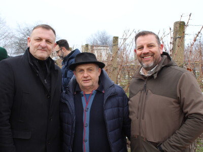 Blagdan sv. Vinka pokušalište u Mandićevcu FAZOS