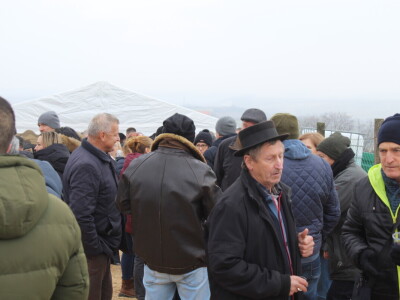 Blagdan sv. Vinka pokušalište u Mandićevcu FAZOS