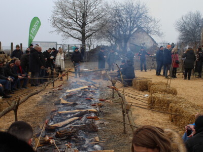 Blagdan sv. Vinka pokušalište u Mandićevcu FAZOS