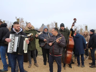 Blagdan sv. Vinka pokušalište u Mandićevcu FAZOS