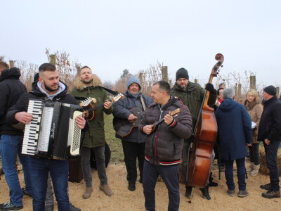 Blagdan sv. Vinka pokušalište u Mandićevcu FAZOS
