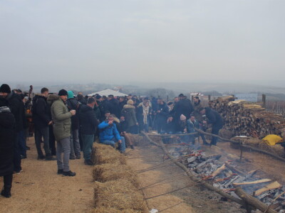 Blagdan sv. Vinka pokušalište u Mandićevcu FAZOS