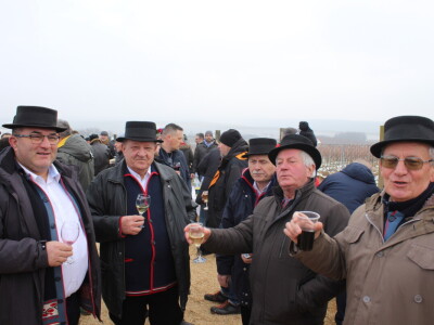 Blagdan sv. Vinka pokušalište u Mandićevcu FAZOS