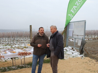 Blagdan sv. Vinka pokušalište u Mandićevcu FAZOS