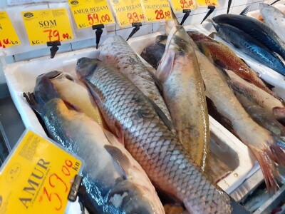 Blagdanska potrošnja Blagdanska potrošnja