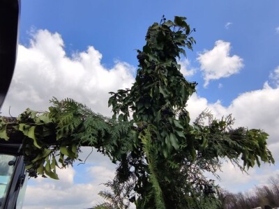 Blagoslov traktora na Strugači