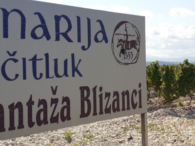 Blaž Enelogy - priča o blatini i žilavki