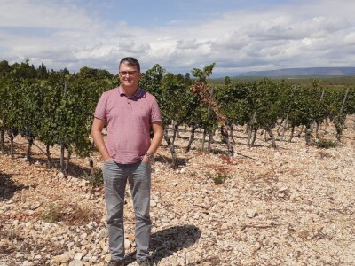 Blaž Enology - Vinske ceste Hercegovine i priča o blatini i žilavki