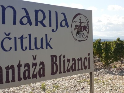 Blaž Enology - Vinske ceste Hercegovine i priča o blatini i žilavki