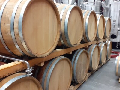 Blaž Enology - Vinske ceste Hercegovine i priča o blatini i žilavki