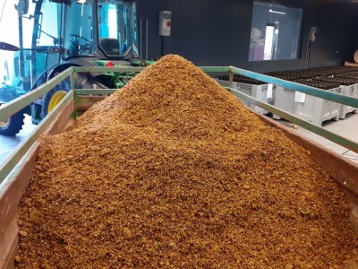 Blaž Enology - Vinske ceste Hercegovine i priča o blatini i žilavki