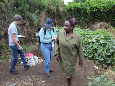 Blitva za šiling Blitva za šiling