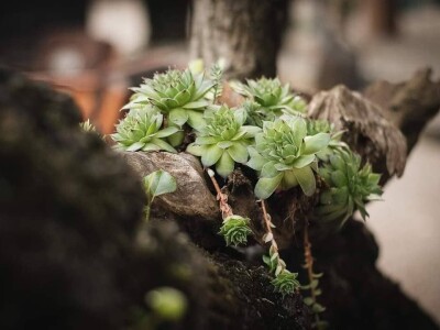 Blog Hodopisi & Slikopisi promoviraju ljepote poznate i manje poznate Hercegovine