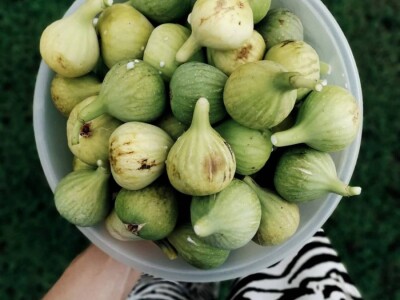 Blog Hodopisi & Slikopisi promoviraju ljepote poznate i manje poznate Hercegovine