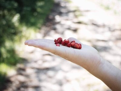 Blog Hodopisi & Slikopisi promoviraju ljepote poznate i manje poznate Hercegovine