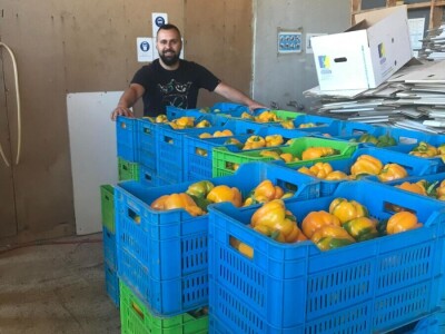 blok paprike blok paprike