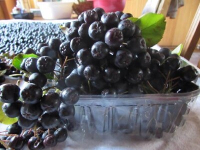 Kutija vitamina i antioksidanasa