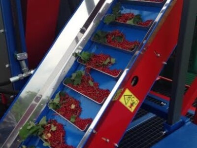 Postojeći prostor za preradu voća je premali