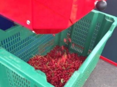 Pa ozbiljno razmišljaju o izgradnji većeg pogona