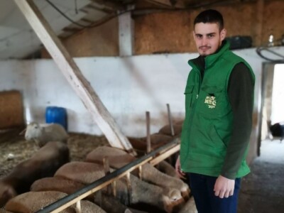 Ovčarstvo isplativo uz podršku države