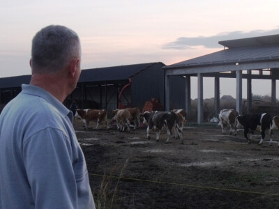 Tomislav Matijašević