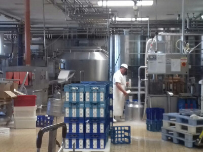 Dnevno otkupe 9 tisuća mlijeka Dnevno otkupe 9 tisuća mlijeka