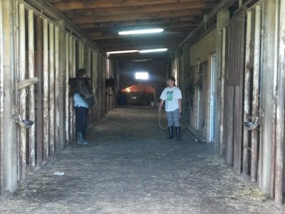 OPG Krivić - Bonanza