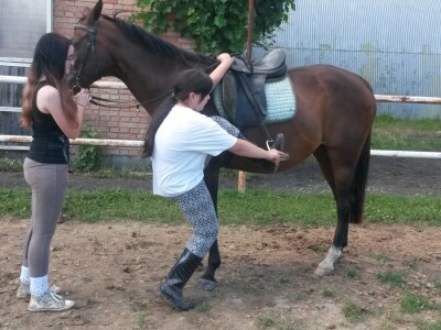 OPG Krivić - Bonanza