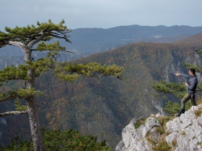 Borba protiv potkornjaka u NP "Tara"