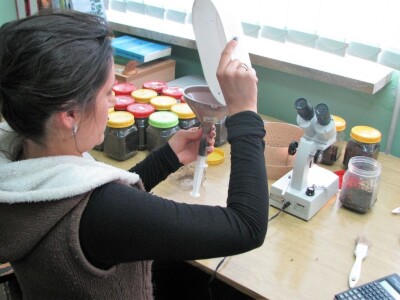 Borba protiv potkornjaka u NP "Tara"