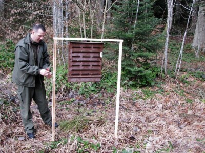 Borba protiv potkornjaka u NP "Tara"
