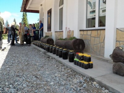 Borba protiv potkornjaka u NP "Tara"