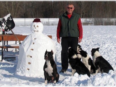 Border collie Željka Kleića