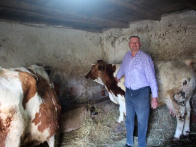 Banovina godinu dana nakon prvog potresa