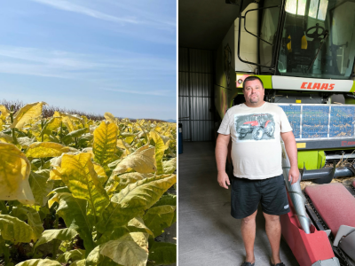 OPG Boris Đukić iz Gornjeg Miholjca