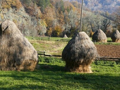 Boro Šijaković se vratio u selo Poljanice