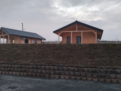 Borovnica